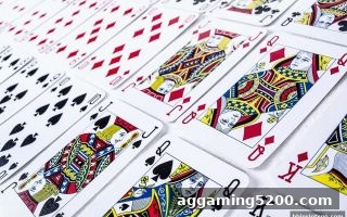 闲庄龙虎和玩法精解：bbin电子平台上的概率博弈与策略实战
