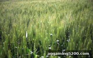 bbin电子新用户福利入口：签到返利与快捷支付全攻略