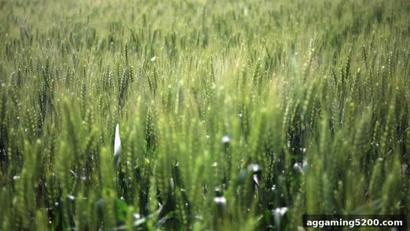 bbin电子新用户福利入口：签到返利与快捷支付全攻略