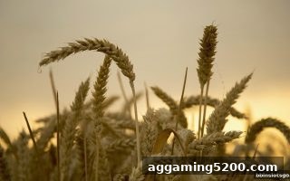 bbin电子老虎机每周存款活动：玩家必须掌握的规则与技巧