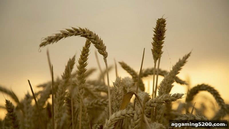 bbin电子老虎机每周存款活动：玩家必须掌握的规则与技巧