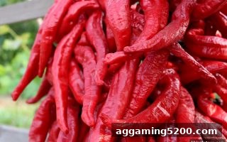 bbin电子深度解析：洗码返佣的运作机制与最佳操作时机
