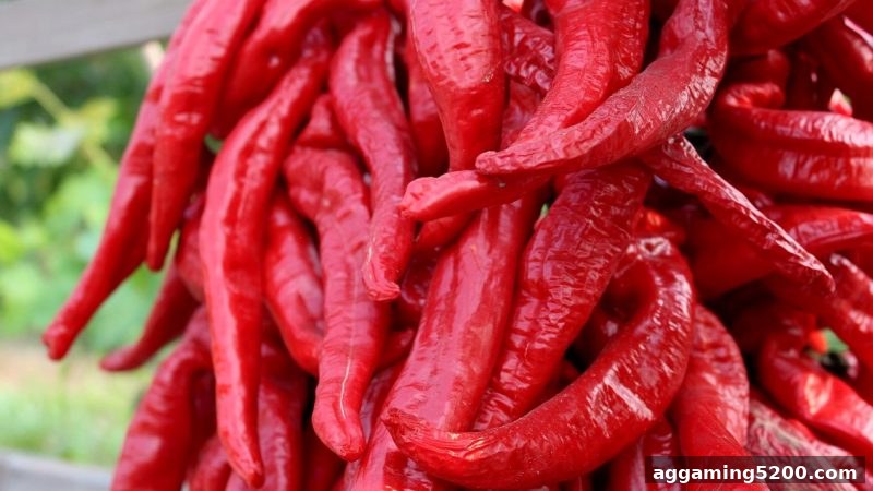 bbin电子深度解析：洗码返佣的运作机制与最佳操作时机