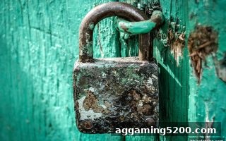 bbin电子用户权益维护指南：从纠纷到解决的全流程解析