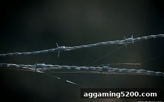 bbwin电子深度指南：合法数字娱乐平台的甄别与选择策略